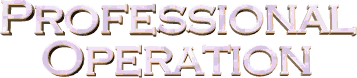 prof.gif (5702 bytes)
